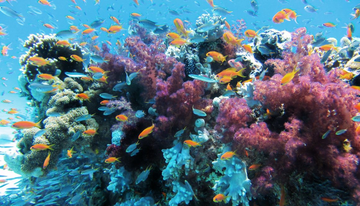 underwater_1920