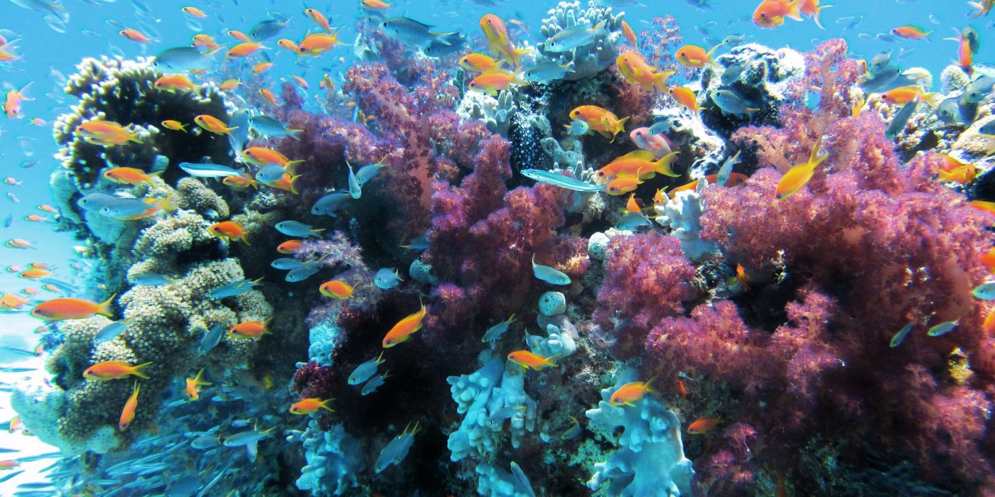 underwater_1920