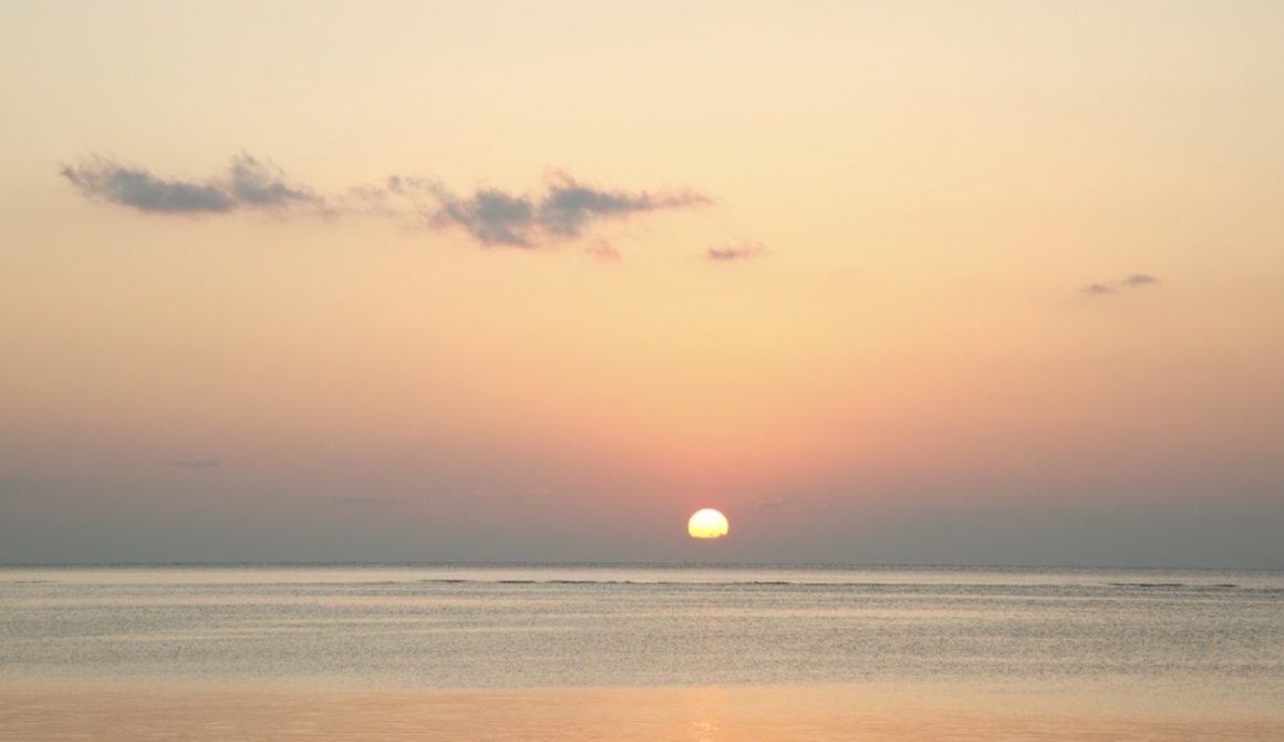 okinawa14-1 okinawa14-1